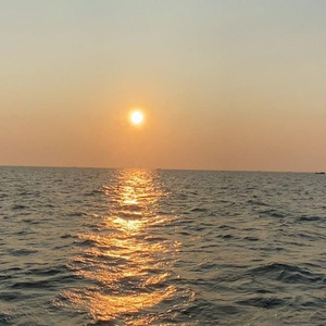 大壮和师母台版
