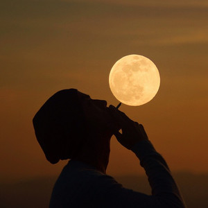 大壮和师母台版
